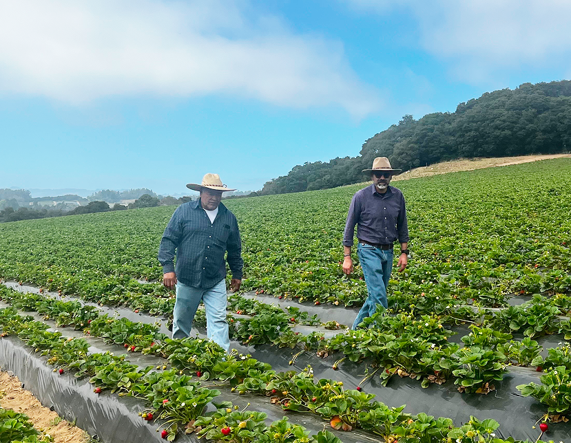 The Story of Rodriguez Brothers Ranch