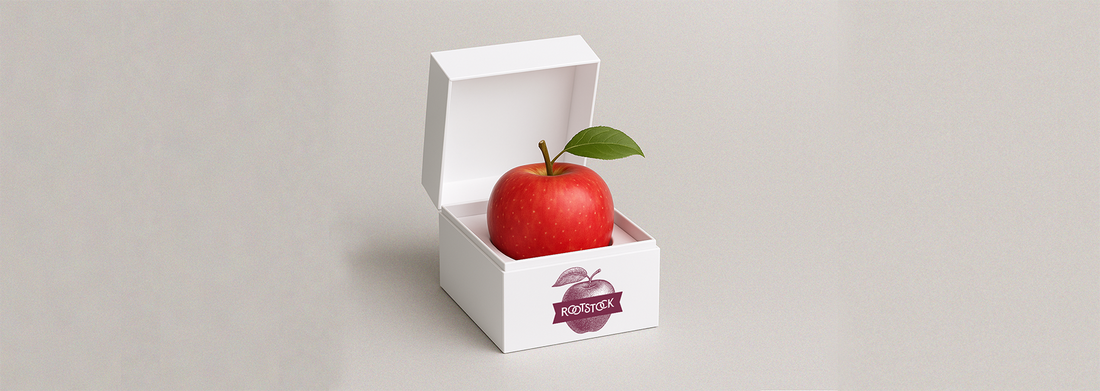 There’s a New Apple Store In Town.