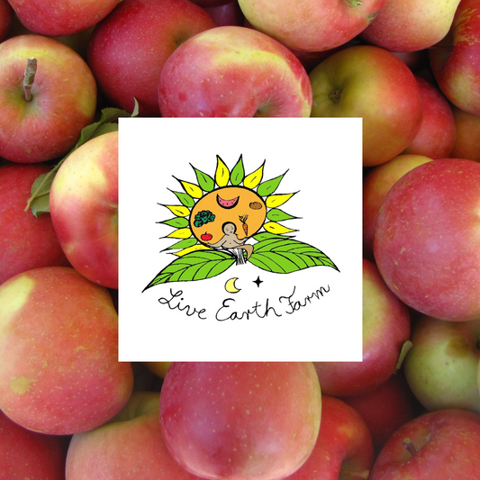 Fuji Apples