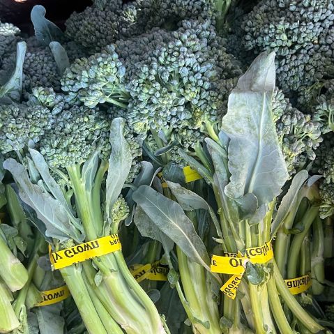 Green Broccolini (2-bunch bundle)