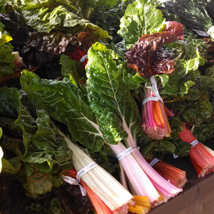 Rainbow Chard (bunched)