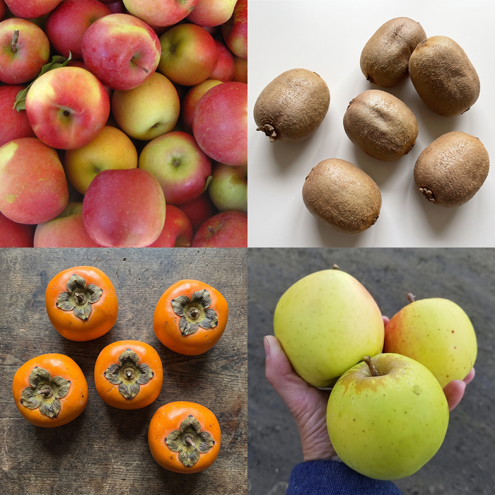 Fruits of Fall