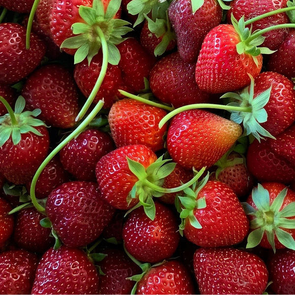 Mara Des Bois Strawberries (clamshell)