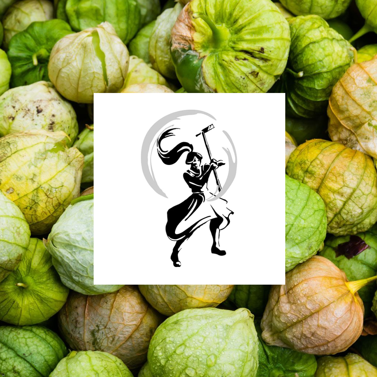 Tomatillo Salsa