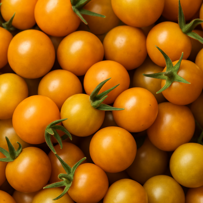 Sungold Cherry Tomatoes (clamshell)