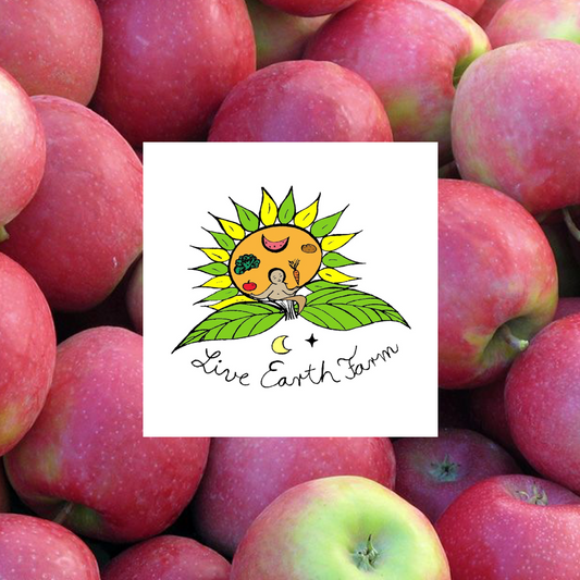 Pink Lady Apples