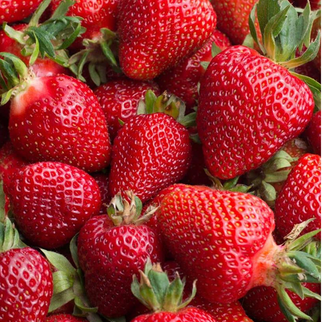 Albion Strawberries (clamshell)