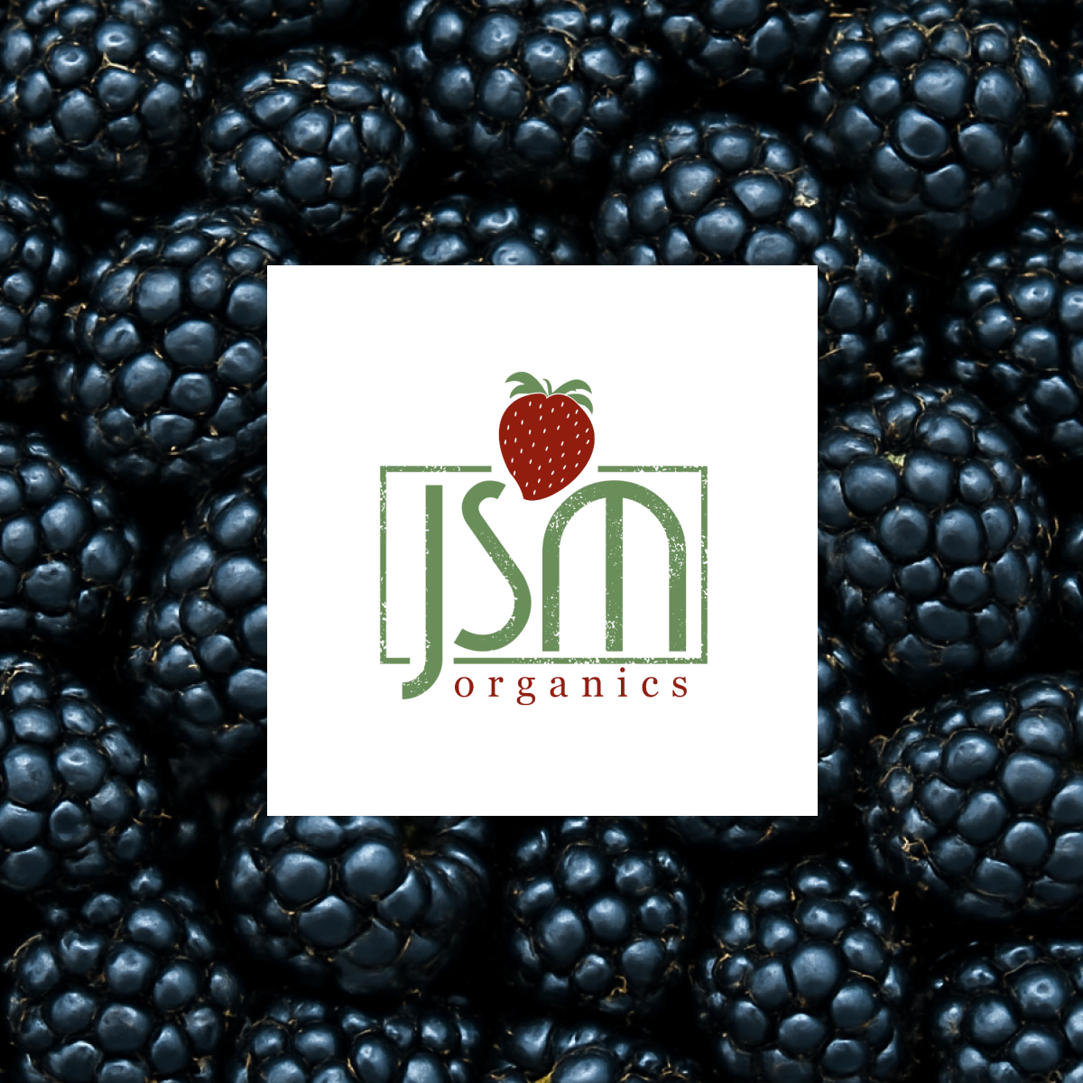 Blackberries