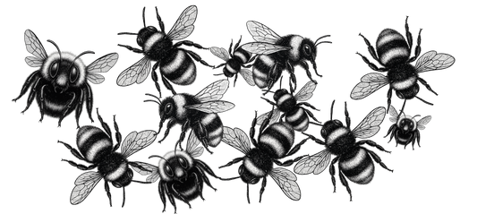 Black and white illustration of a swarm of bees