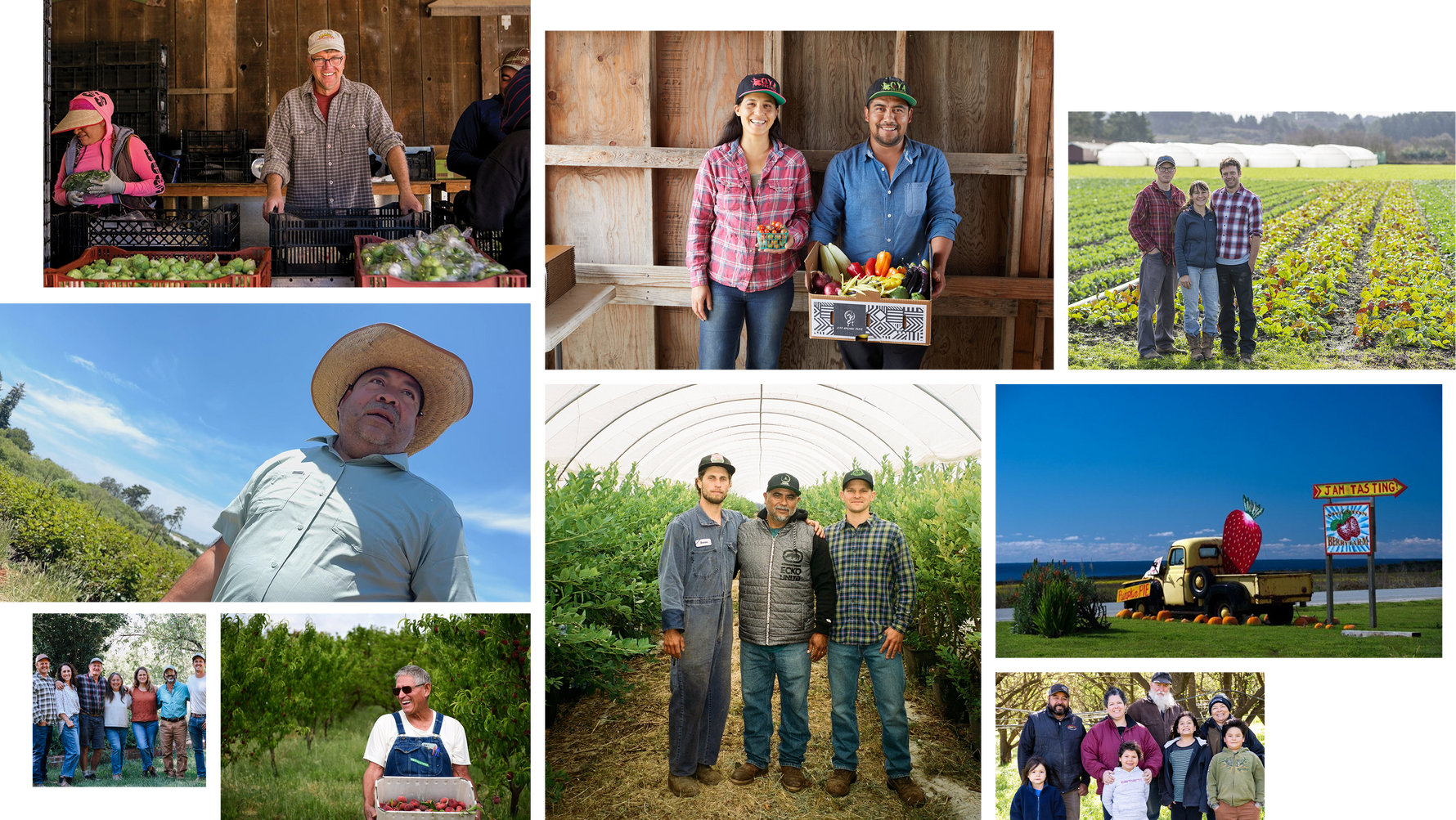 Beyond Organic: Tour The Growers Behind Rootstock