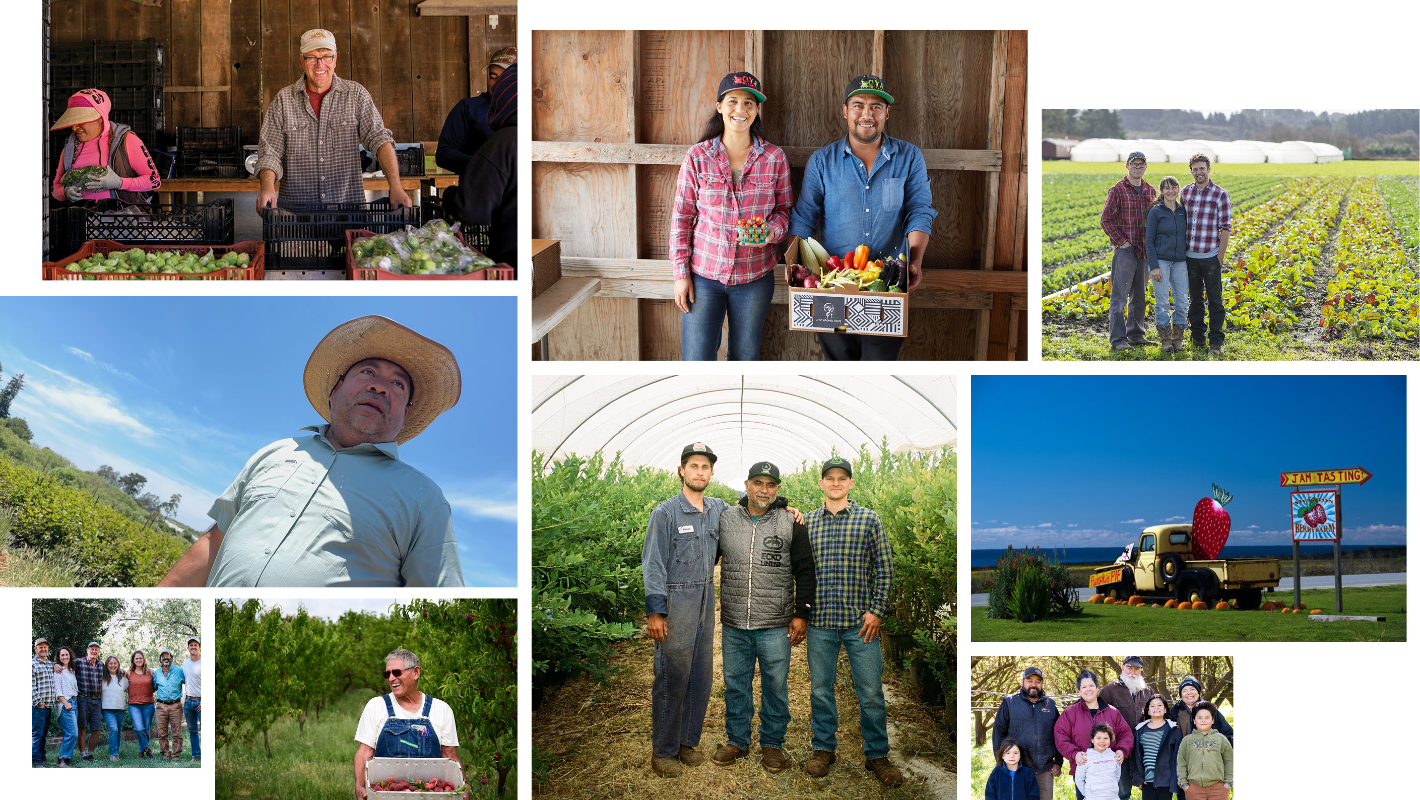 Beyond Organic: Tour The Growers Behind Rootstock