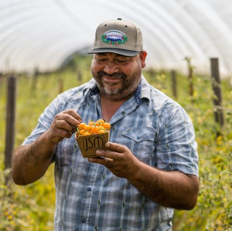Rootstock Prioritizes Fair Farmer Pricing Over Bargain Berries