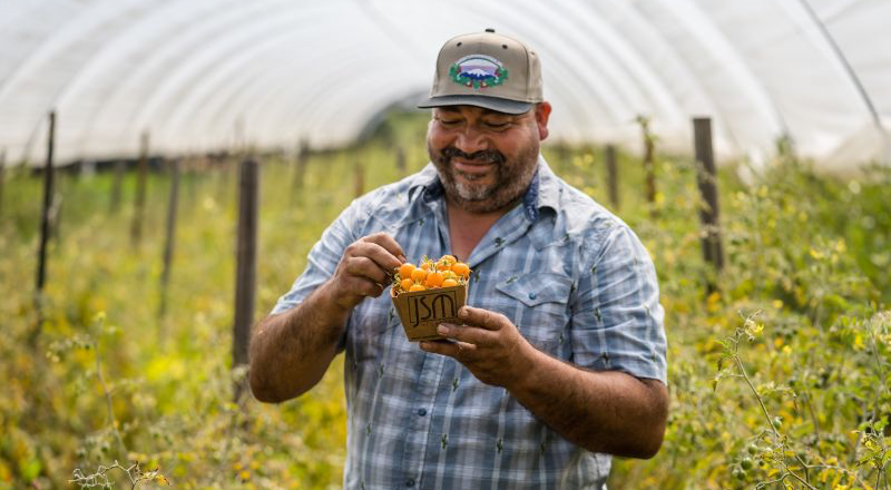 Javier Zamora of JSM Organics holding fresh organic tomatoes representing fair farmer pricing and sustainable agriculture partnerships