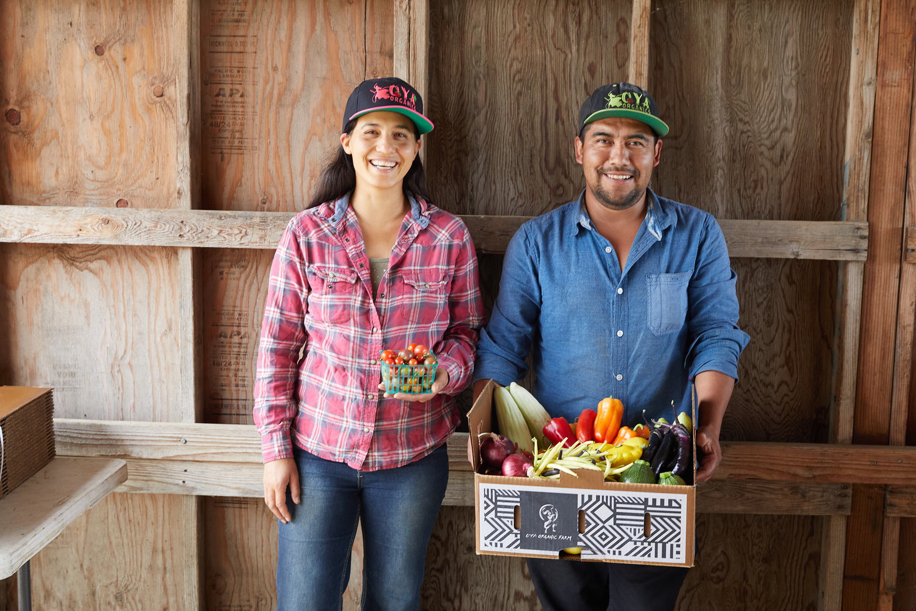 Marsha Habib and Modesto Sanchez Cruz of Oya Organics working with organic vegetables in Hollister California