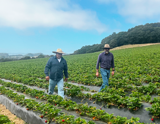 The Story of Rodriguez Brothers Ranch