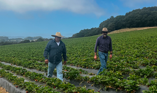 The Story of Rodriguez Brothers Ranch