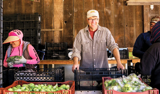 Tom Broz of Live Earth Farm organizing organic produce at the CSA packing station in Watsonville California