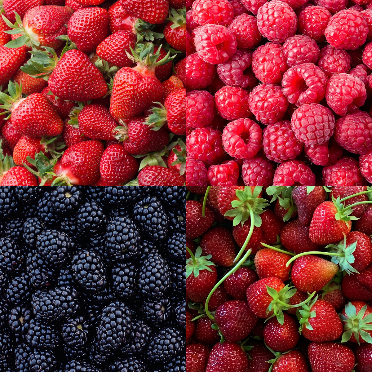 Box of Berries