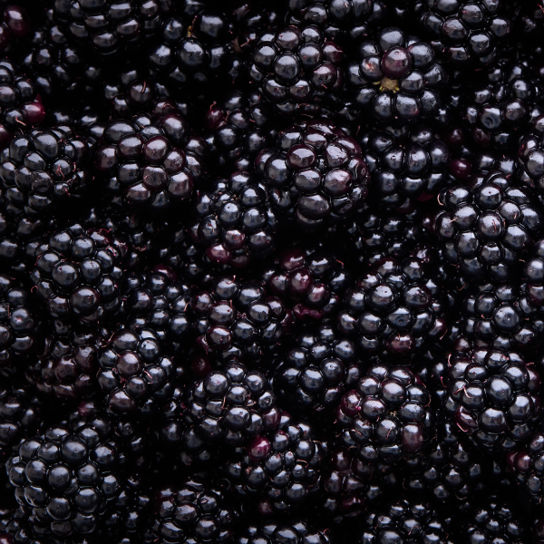 Blackberries (clamshell)