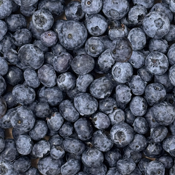 Peak Season Blueberries (clamshell)
