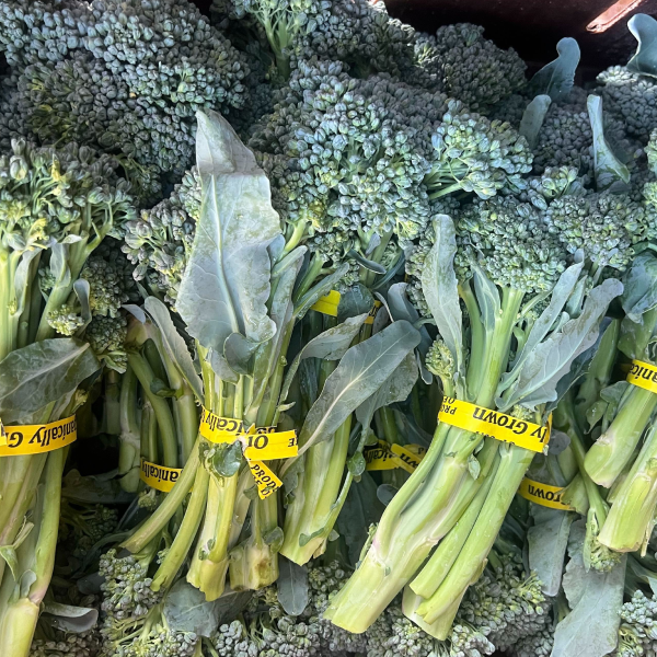 Green Broccolini (2-bunch bundle)