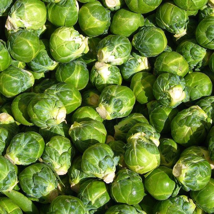 Brussel Sprouts (1.5lb clamshell)
