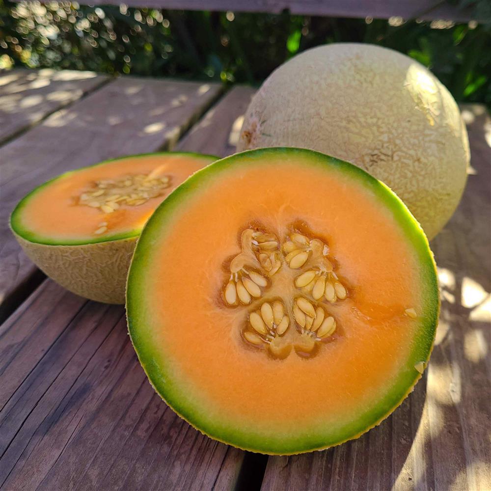 Sarah's Choice Cantaloupes (2-pk)