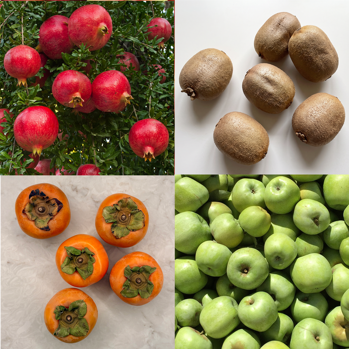 Fruits of Fall