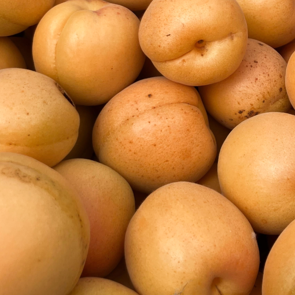Golden Sweet Apricots (half flat)