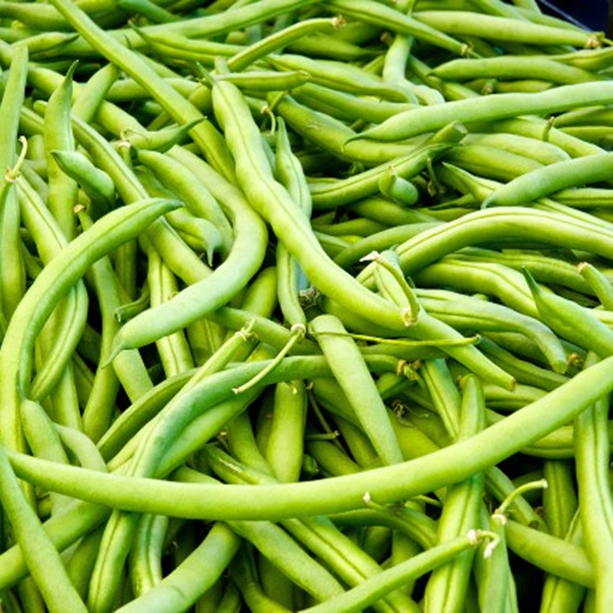 Blue Lake Green Beans (clamshell)