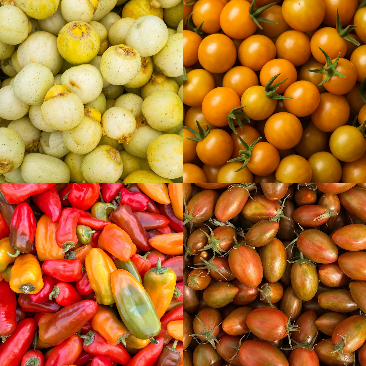 Healthy Snackables