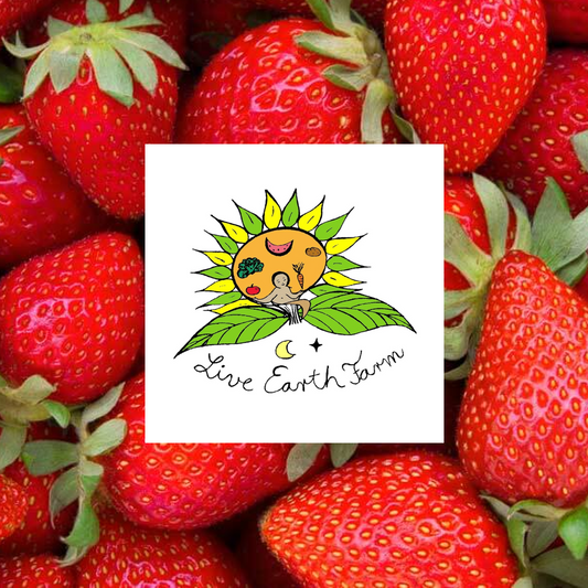 Albion Strawberries (LE)