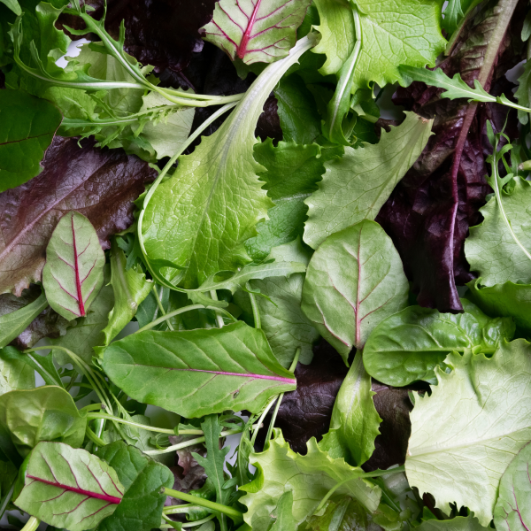 Spring Mix