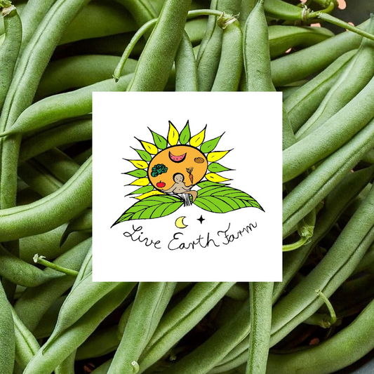Blue Lake Green Beans