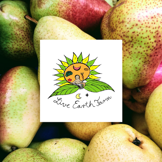 Warren Pears