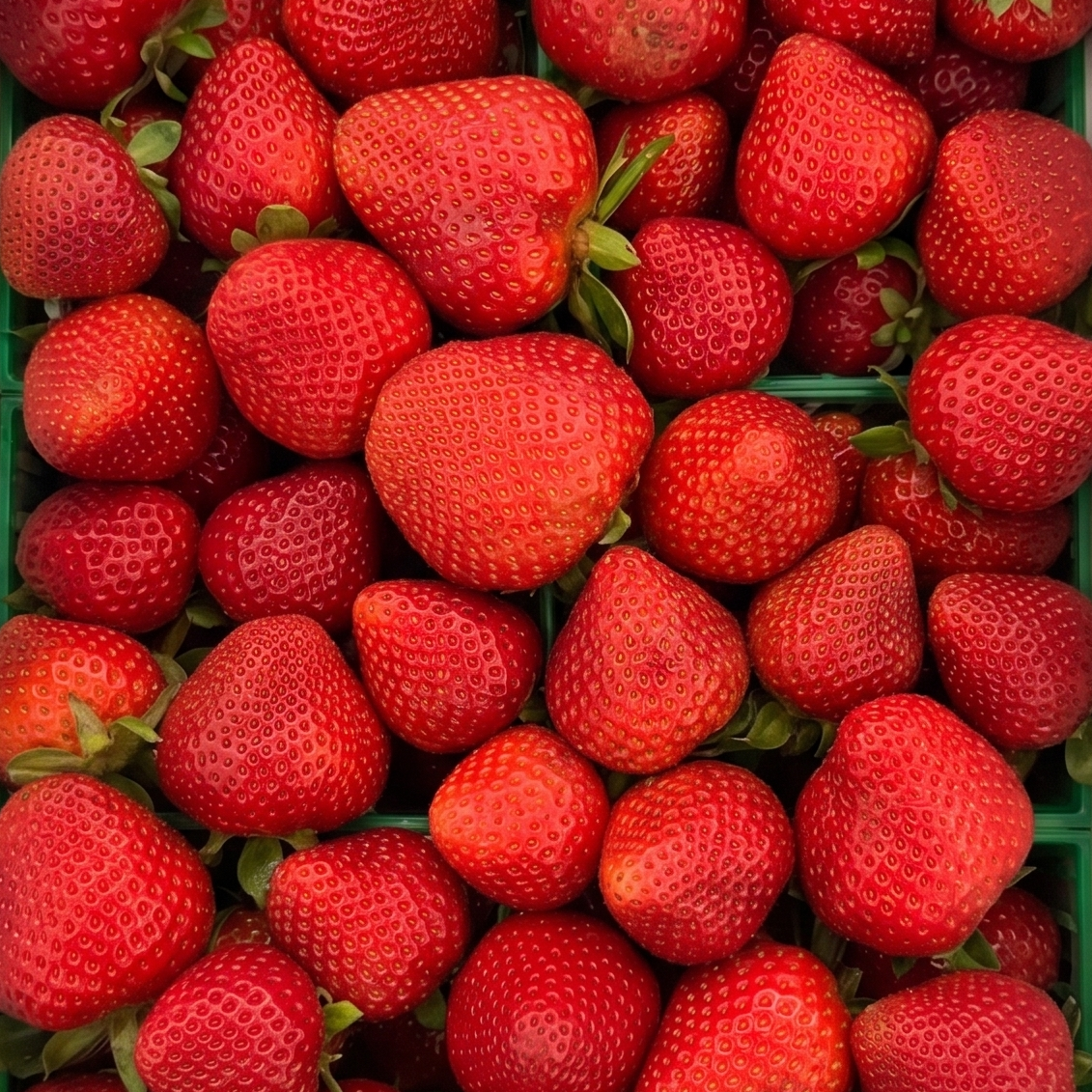Monterey Strawberries (full flat, 12-pint)