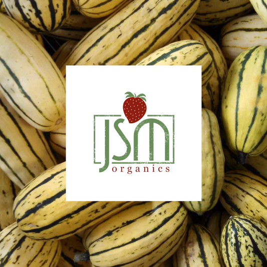 Delicata Squash (2-count)