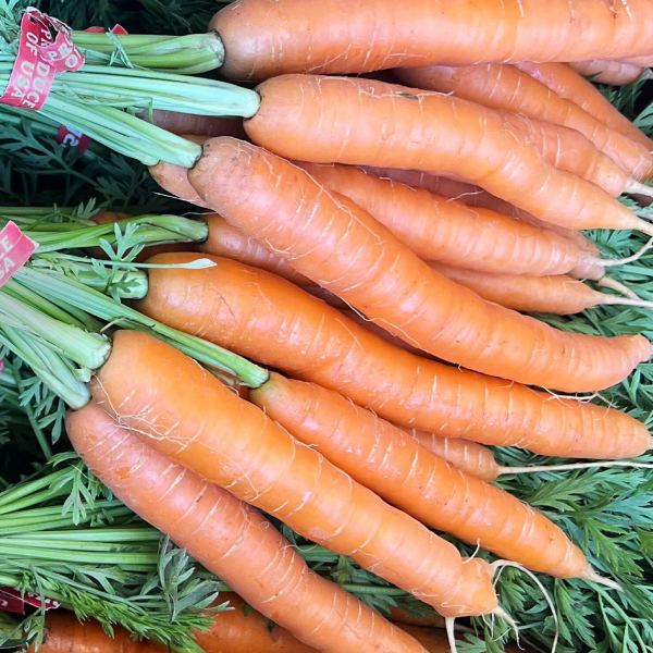 Nantes Carrots (2-bunch bundle)