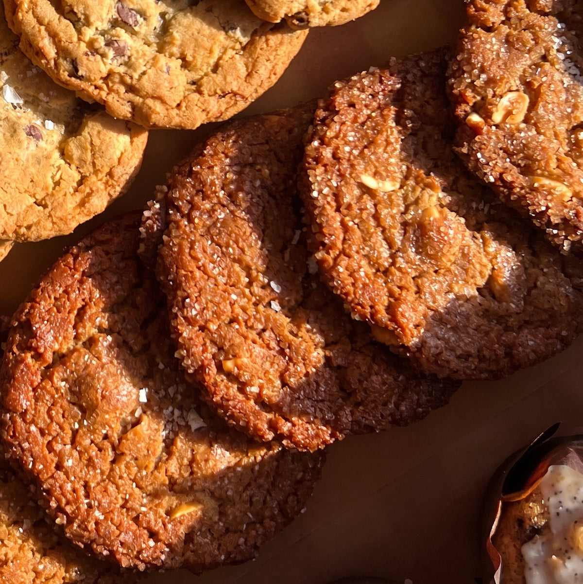 Peanut Butter Cookie