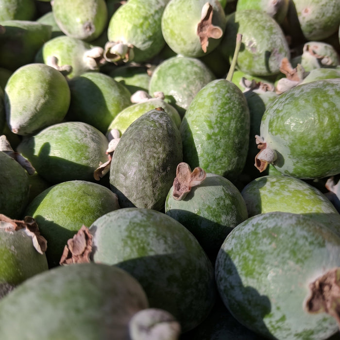 Pineapple Guavas (pint)