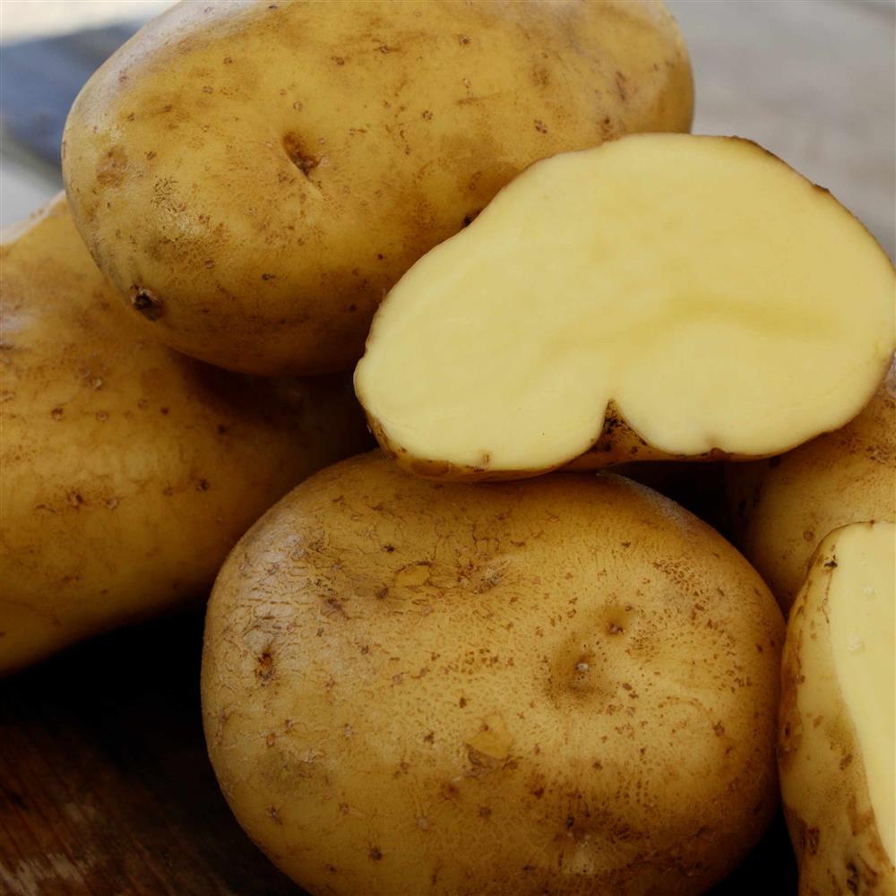 Canada Gold Potatoes (2lb bag)