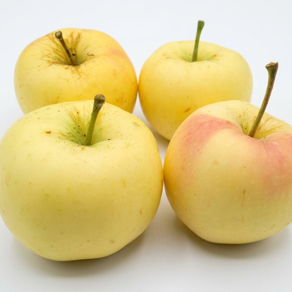 Pristine Apples