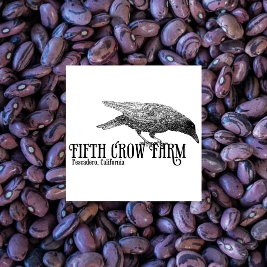 Dry Rio Zape Heirloom Beans