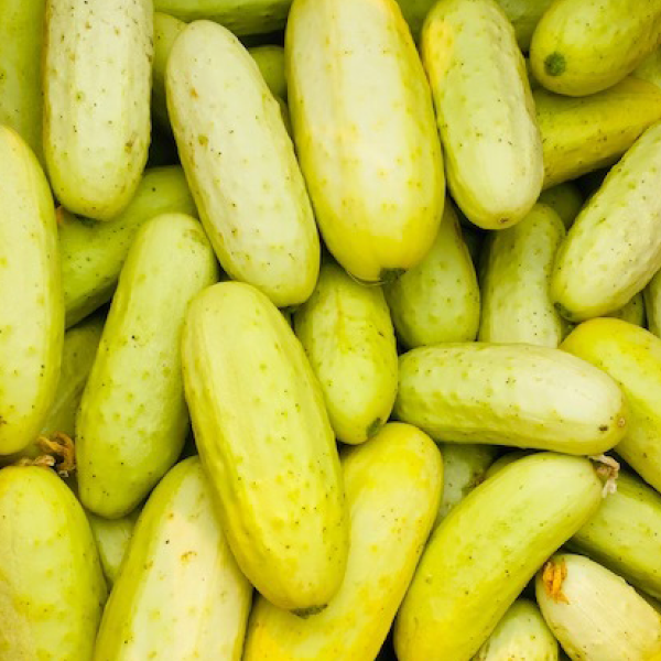 Salt & Pepper Mini Cucumbers (clamshell)