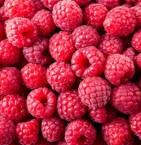 Peak Season Raspberries (clamshell)