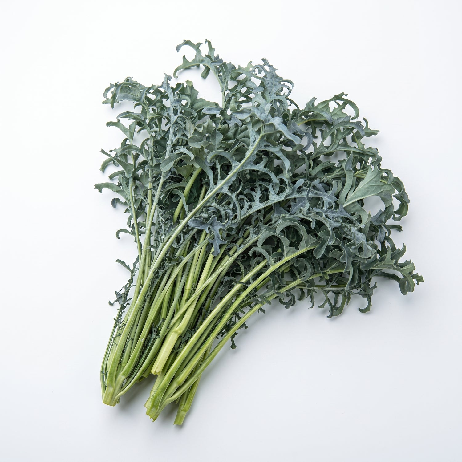 Spigarello (2-bunch bundle)