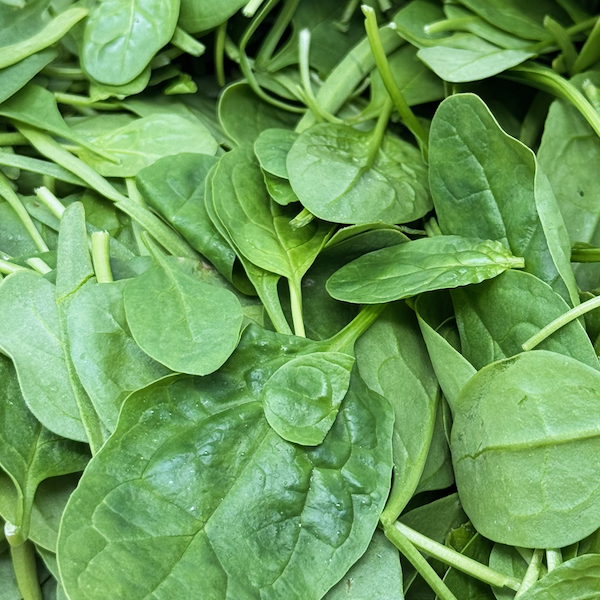 Baby Spinach (bagged)