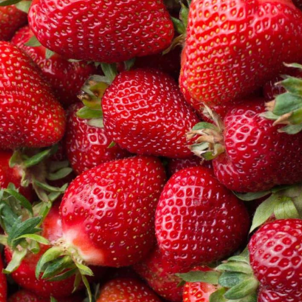 Monterey Strawberries (half flat, 6-pint)