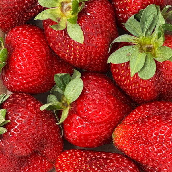 Albion Strawberries (clamshell)