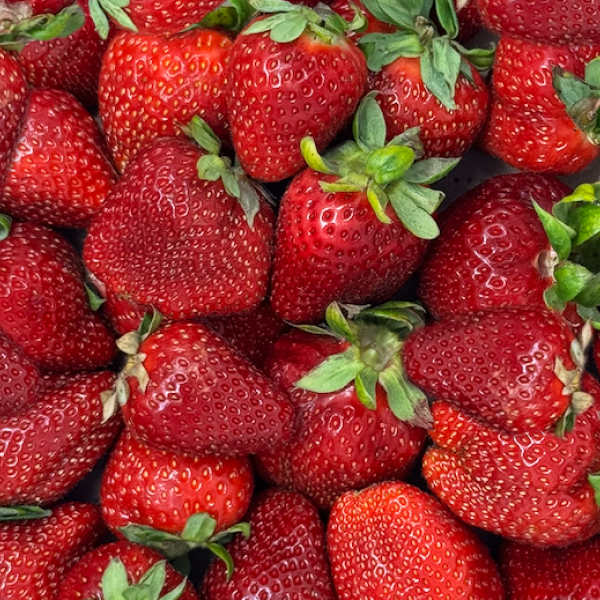 Chandler Strawberries (open pint)